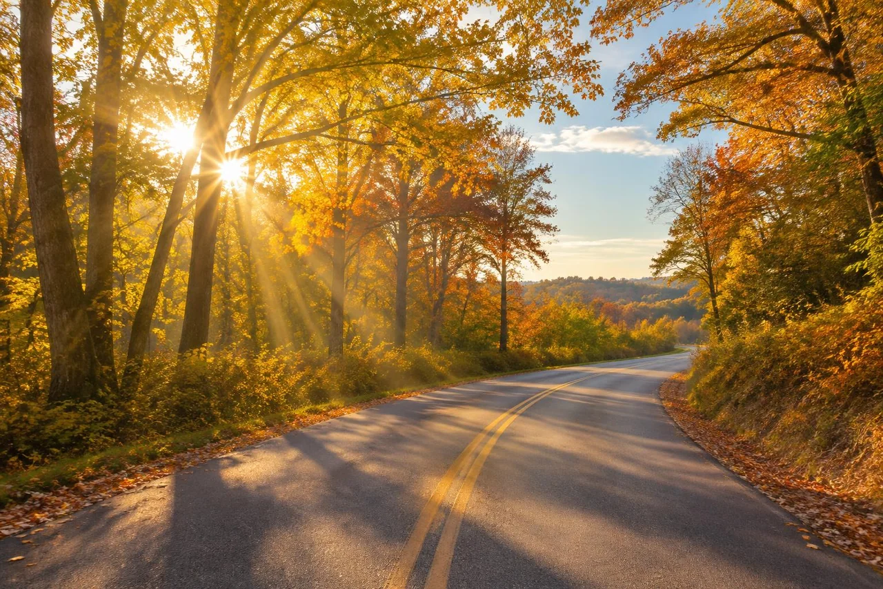 Golden sunlight on an autumn road through Maryland trees